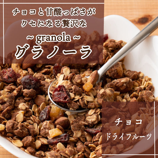 【3kg】ドライフルーツ入りチョコグラノーラ(チャック付き)1kg×３袋