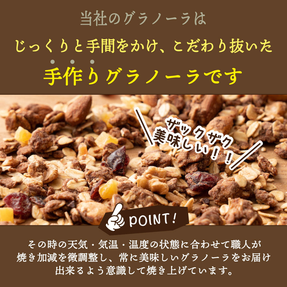 【800g】ドライフルーツ入りチョコグラノーラ(チャック付き)