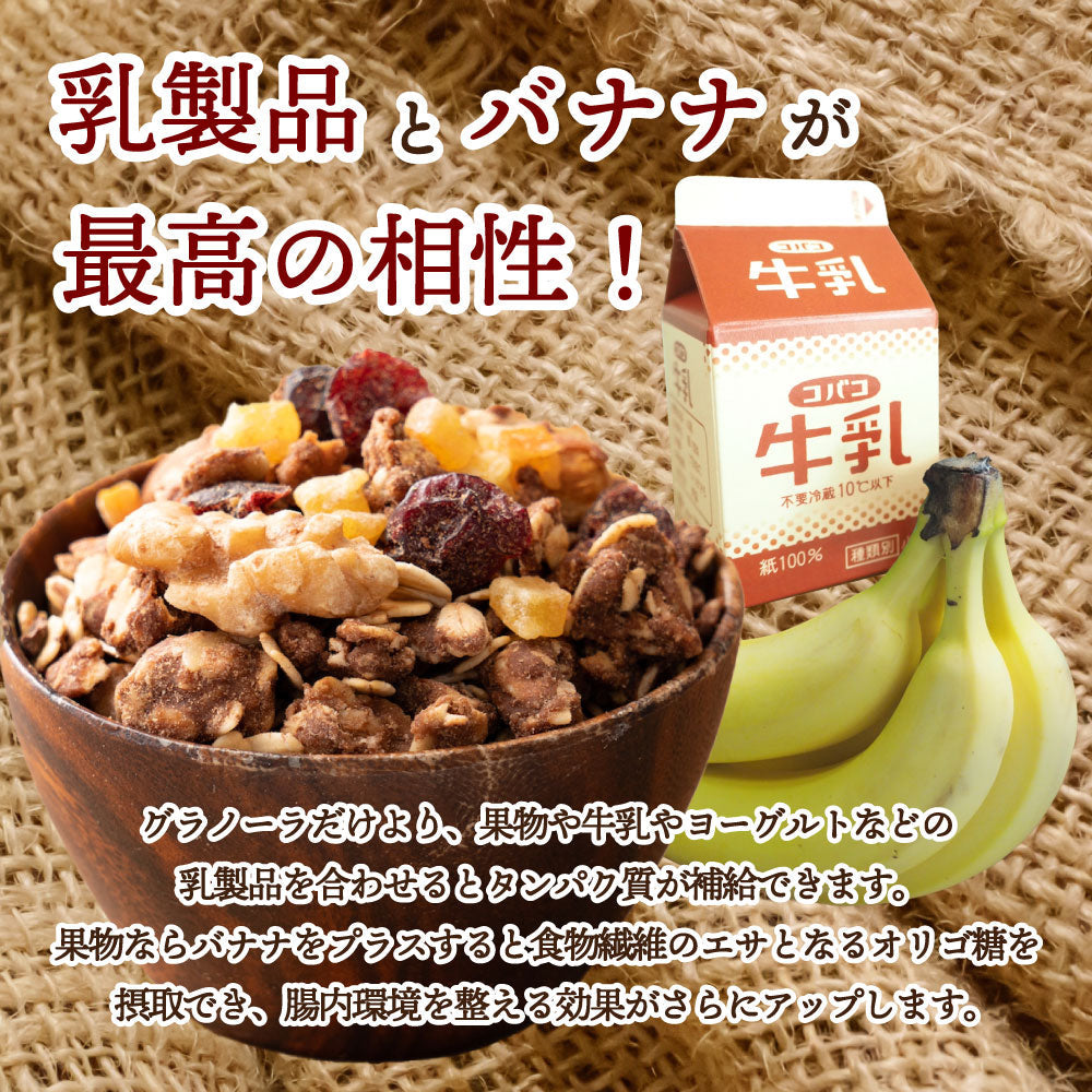 【3kg】ドライフルーツ入りチョコグラノーラ(チャック付き)1kg×３袋